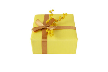 Gift box wrapped with ribbon bow and mimosa flowers isolated on white.
