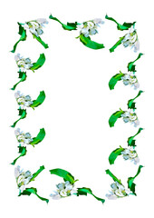 Frames are a branch of apple blossoms with leaves on the white background of the A4, vertical image