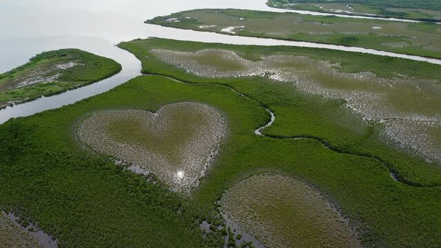 Sun glistens off famous Heart of Voh in New Caledonia mangrove. Aerial arc.