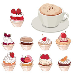 Set with different fruit muffins and cup of coffee cappuccino. Objects isolated on white background. Illustration can be used for restaurants and cafe menu.