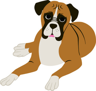 1 532 最適な 伏せ 画像 ストック写真 ベクター Adobe Stock