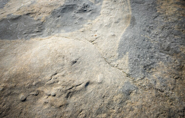Surface and texture of natural stone. Beautiful abstract background and texture for design