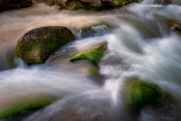 The dry river has many boulders and green moss grows on the rocks in summer.