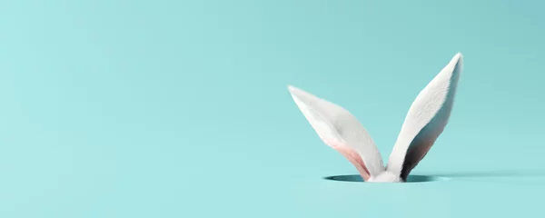 Fotobehang Wit konijnenoor op pastelblauwe achtergrond. Paasdag. 3D-rendering © aanbetta