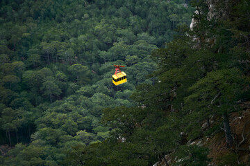cabin of the aerial tram moves over wooded mountain slopes