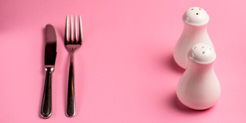 Salt and Pepper shaker isolated on pastel pink background. Copy space banner
