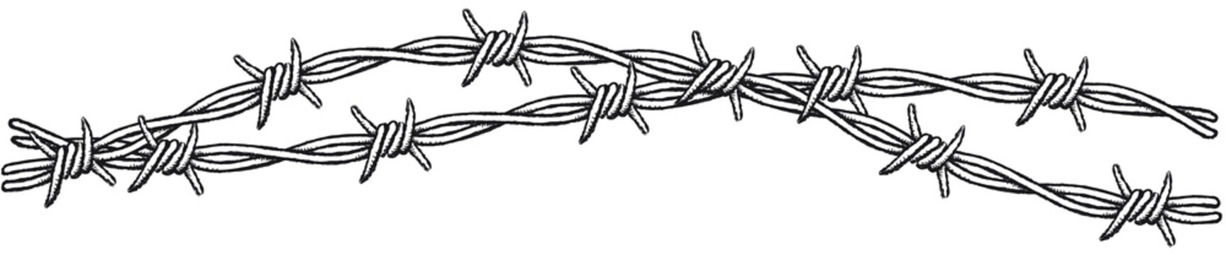 Barbed wire border, intertwined. Clip-art illustration of a border with two interlocking barbed wires on a white background.