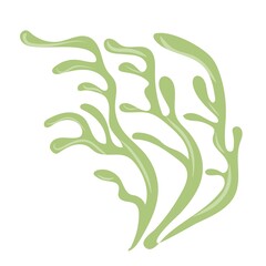 Marine plants. Seaweed. Plants for the aquarium. Vector illustration isolated on white background. © Oksana