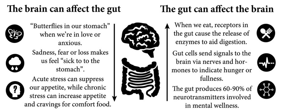 brain gut interaction
