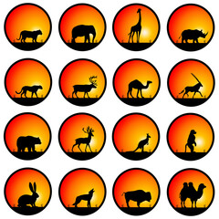 Naklejka premium wildlife silhouettes