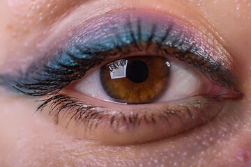 eye