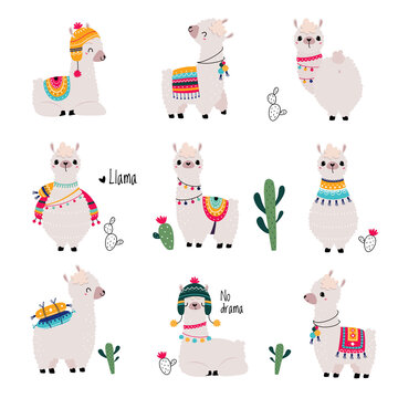 Cute Fluffy Llama or Alpaca Camelid Pack Animal Vector Set