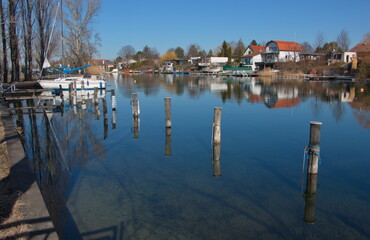 Fototapeta premium Early spring at Neufelder Lake in Neufeld an der Leitha, Burgenland, Austria, Europe 