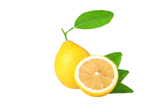 yellow Lemon with green leaves isolated on white background