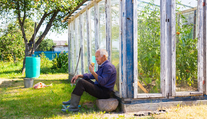 Fototapeta premium elderly man eating creamy ice cream in waffle cup near greenhouse in village garden
