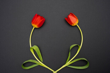 two red tulips on a black background, reaching out to each other