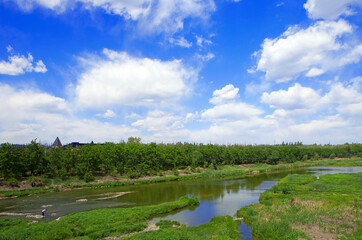 Beautiful cloudy blue sky and a river with green vegetation