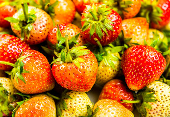 Pile of strawberries in plate, in studio Chiangmai Thailand