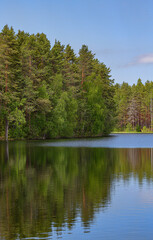blue sky and forest reflect in lake