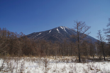 戦場ヶ原から見る男体山