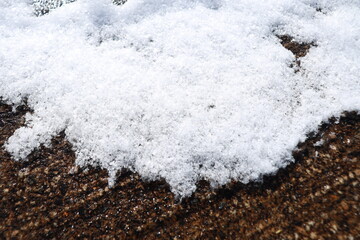 雪どけ