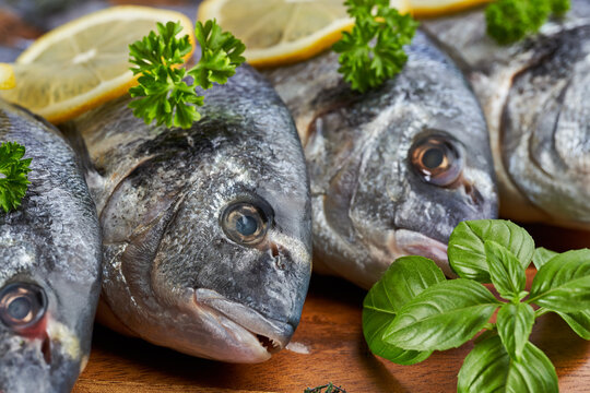 Chilled whole raw bream
