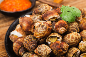 Babylonia areolata shellfish seafood on bowl ready for eat or cooked
