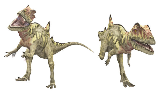 Dinosaurier Concavenator, Freisteller