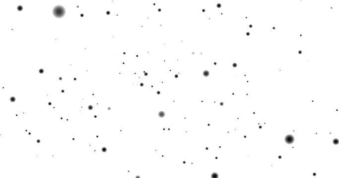 Black blurred circles bokeh flying on white background. Motion animation of blurred circles. Defocused effect. Horizontal composition, 4k video quality