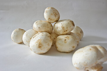 food mushroom white color beautiful