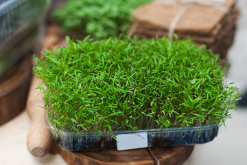 sprouted seeds for vegetarian salad