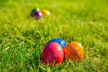 Fototapeta premium Colorful painted Easter eggs in the bright fresh green grass, concept for Easter Holliday, spring background with copy space