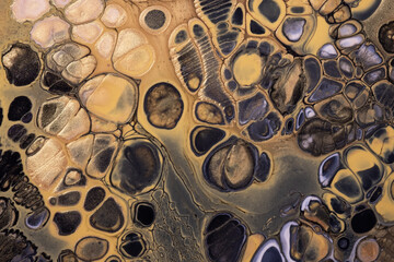 Abstract fluid art background black and golden colors. Liquid acrylic painting