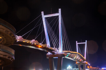 Obraz premium This is a night view photo created by the magnificent bridge and beautiful lighting.