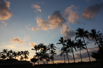 Fototapeta na wymiar Sunset view at Waikoloa Beach in in Big island, Hawaii, USA - ワイコロアビーチ 夕日 ハワイ島 アメリカ合衆国