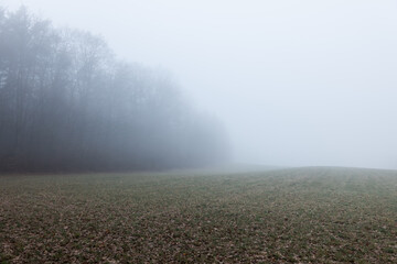 Fototapeta premium Nebel über dem Acker