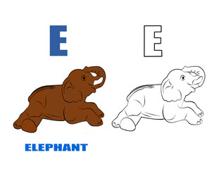 Alphabet E with drawing of elephan cartoon pattern for coloring book , cute cartoon baby elephan , A wild animal,