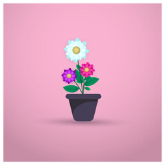 isolated flower pot Vector illustration . colorful bright flowerpot for house with pink gradient background. modern flower pot and vase with colorful daisy flowers. 