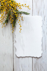 Modern spring stationery still life. Blank white sheet of paper and mimosa flowers with interesting shadows on a gray background. Mock up, top view