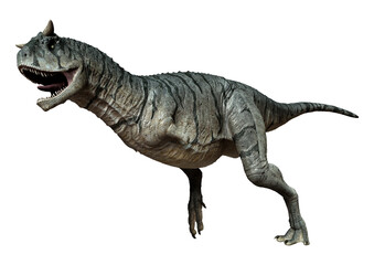 3D Rendering Carnotaurus Sastrei Dinosur on White