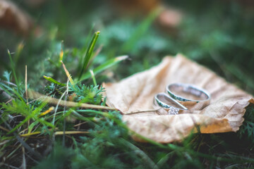 Wedding rings macro photography