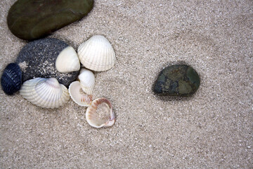 Sea round stones and seashells on the fine sand. Selective focus.