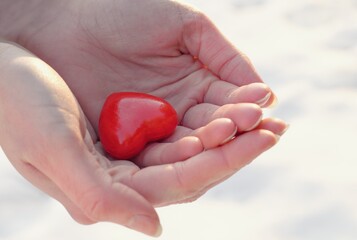 Woman holding red heart in her hands. Organ donation, charity, health care, cardiology, health insurance, love and family