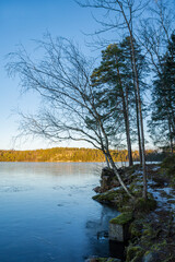 View to the Lake Vittrask in winter evening, Kirkkonummi, Finland