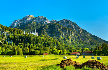Neuschwanstein Castle with hay bales in a field below. Bavarian Alps, Germany
