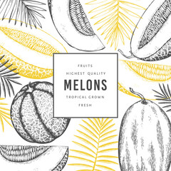 Melons with tropical leaves design template. Hand drawn vector exotic fruit illustration. Retro style fruit banner.