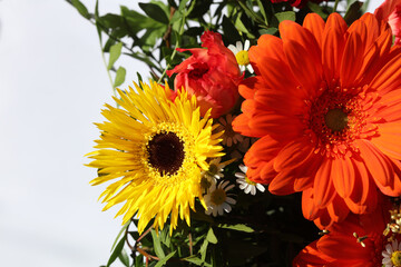 Bouquet of wonderful fresh Summer Flowers 