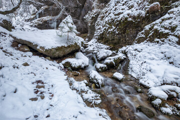 Winter landscape with a wild stream and waterfalls through a narrow gorge and canyon covered with snow and ice. The Mala Fatra national park in Slovakia, Europe.