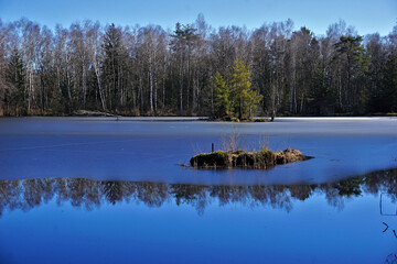 Pfrunger Ried, Moor in Oberschwaben bei Wilhelmsdorf, Süddeutschland