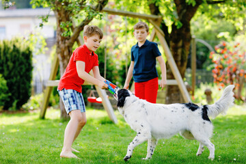 Two kids boys playing with family dog in garden. Laughing children, adorable siblings having fun with dog, with running and playing with ball. Happy family outdoors. Friendship between animal and kids